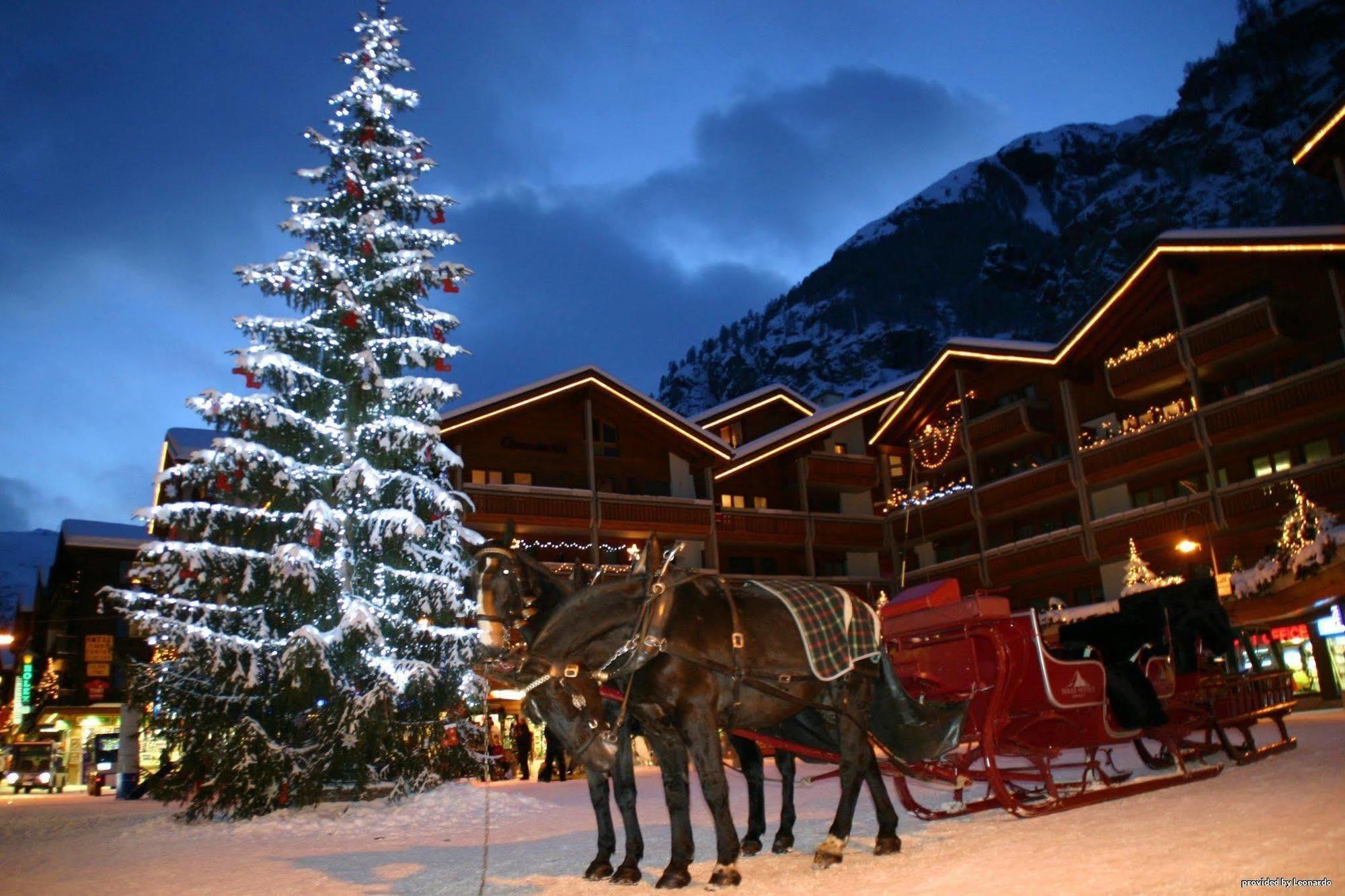 Hotel Butterfly Zermatt